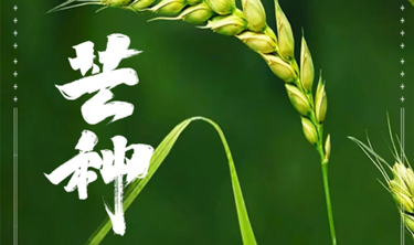 pg电子_首页官网入口