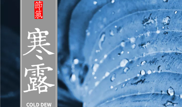 pg电子_首页官网入口